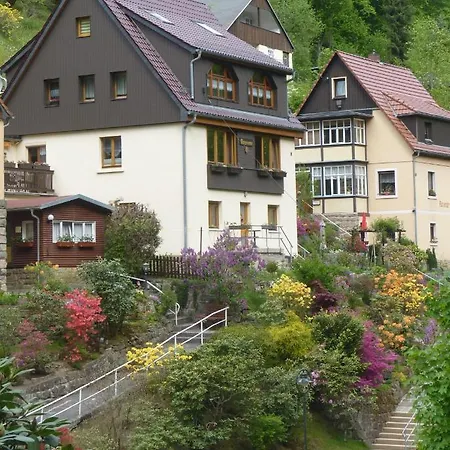 Appartement Morgensonne Kurort *